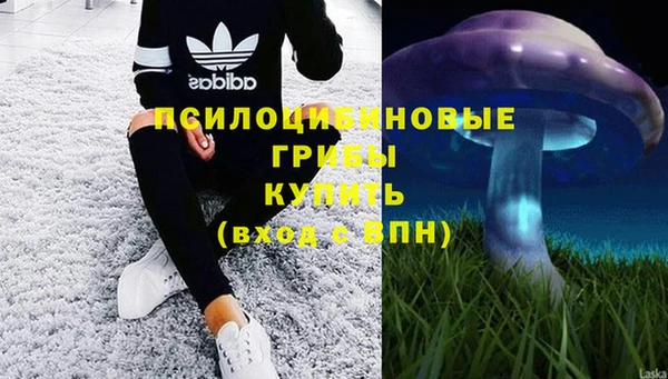 mdma Медвежьегорск