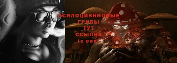 mdma Медвежьегорск