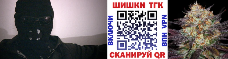 Бошки Шишки план Гаджиево